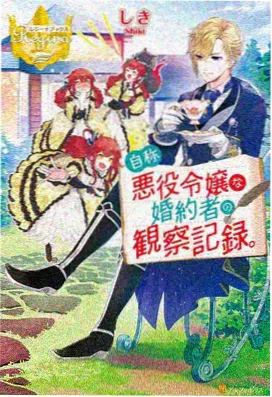 第七次日落剧集封面